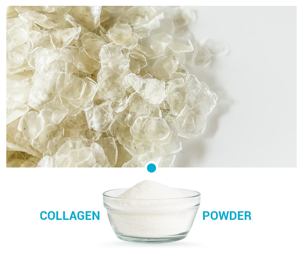 Collagen Tripeptides