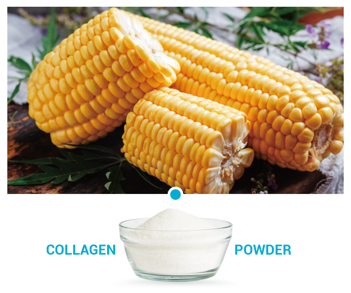 Corn Oligopeptides