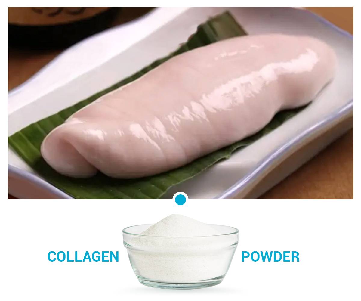 Salmon Milt Powder