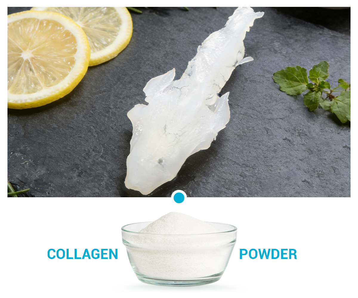 Salmon Nasal Cartilage Extract