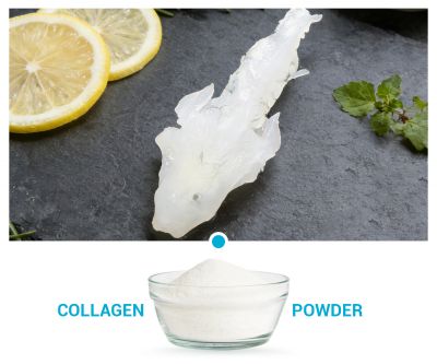 Salmon Nasal Cartilage Extract